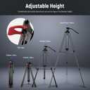 NEEWER 79"/200cm Video Tripod, Heavy Duty Aluminum Alloy Camera Tripod Stand with 360 Fluid Drag Head, QR Plate Compatible with Canon Nikon Sony and Other DSLR Camera Camcorder, Load Up to 17.6lb/8kg