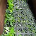 Grooy Artificial Boxwood Grass Wall Roll Panels 38''