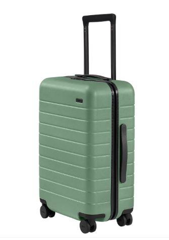 Away Softside Carry-On Suitcase, 22 Inch Lightweight, Expandable High-Strength Nylon Luggage With Spinner Wheels, Meets Requirements for Most Major Airlines, Clay Green