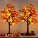 2 Pack Fall Maple Tree Fall Decorations for Home, Battery Operated 24" Tall 24 LED Lights Fall Tree with Timer for Party Tabletop Indoor Outdoor, Thanksgiving Gift Autumn Harvest Home Decor