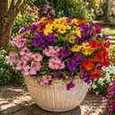 Artificial Flowers for Outdoors, 8 Bundles Faux Silk Spring Flowers for Outside for Planter Front Door Porch Yard Patio Window Box Home Decor