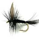 Feeder Creek Black Gnat Dry Flies, One Dozen Nymph Flies for Trout, Bass, Salmon and More Freshwater Fish, Size 10, 6 Pack
