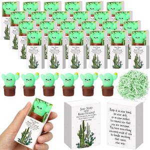 Wettarn 48 Sets Cactus Positive Gifts Cute Stress Balls with Believe in Yourself Gift Boxes Party Favors for Students Coworkers Employees School Office Relief Inspirational Desk Accessories