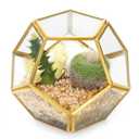 Mkono 4 Inches Mini Glass Geometric Terrarium Container Set of 3 Modern Tabletop Planter Shelves Decor Display Centerpiece for Succulent Miniature Fairy Garden Air Plant, Gold (Plant Not Included)