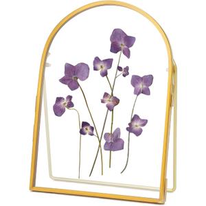 Double Glass Frame for Pressed Flowers Handmade, Metal Floating Picture Frame for Pressed Flower, Tabletop Display, Brass, ArcShaped, Gold, 5x7 inches (FRAME ONLY) (5L" x 7W")
