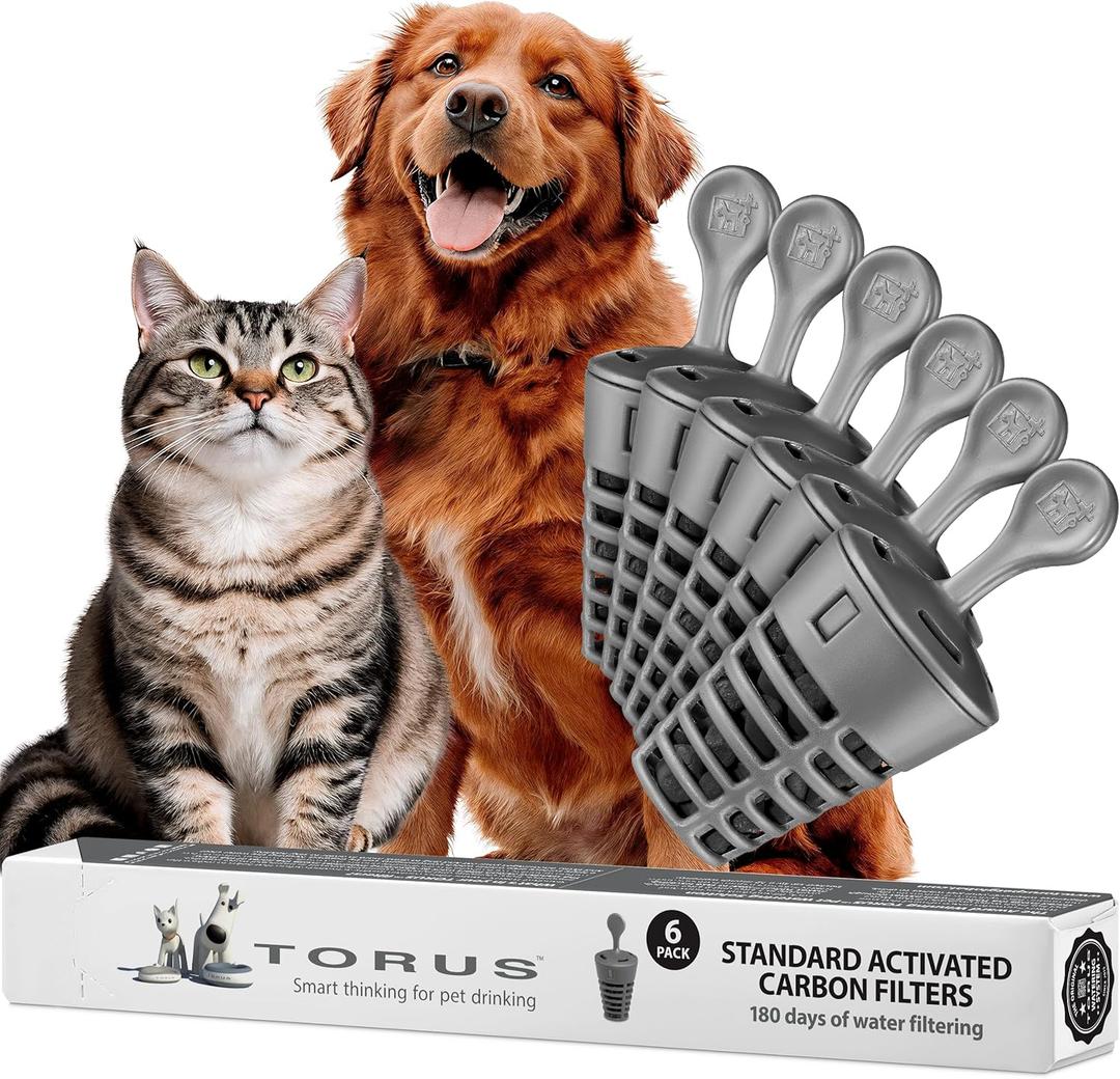 Standard Replacement Filters (6-Pack)