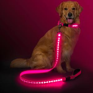 Flashseen Light Up Dog Leash, 4FT LED Dog Leash with Double-Sided Light, Type-C Rechargeable Glow in The Dark Lights for Night Walking with Padded Handle (Pink)