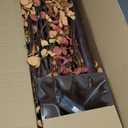 Krissing 3 Pack Light Up Fall Tree, 4Ft, 5Ft, 6Ft Artificial Lighted Fall Maple Tree with Lights Fake Autumn Maple Tree for Fall Home Indoor Outdoor Thanksgiving Fall Decor (Orange)