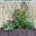 4 Ft Bamboo Stakes for Plant with Twist Ties 60 pcs Bamboo Sticks Plant Support Garden Stakes Poles for Tomatoes Cucumber Grapes Pole Beans Trees Potted Dahlia Flowers