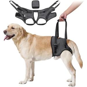 HEYWEAN Dog Sling for Large Dogs Hind Leg Support Harness Ideal for Elderly Injured Arthritic Dogs Provides Rehabilitation Aid for Weak Back Legs Comfortable and Durable Design (Small, Grey)