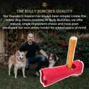 Bully Bunches Premium 12 Inch Standard Odor Free Bully Sticks for Small & Medium Dogs - Consistently Sized, Long Lasting Chews for Oral Care - All Natural Beef Dog Treats, (5 Pk)