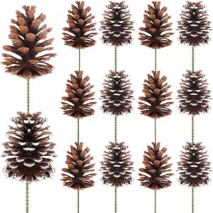 Fangoo 12Pcs 3.1-4.7in Large Natural Pine Cone Picks Snow Christmas Pine Cones with Stems for Crafts Holiday Wreath Garland Party Ornaments Flower Arrangement Fall Thanksgiving Decor (Natural White)