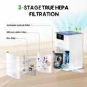 FRESKO Small Air Purifier for Home, HEPA Air Purifiers for Pet Hair, Odors, Quiet Air Cleaner with Aromatherapy for Bedroom & Office, Real-Time PM 2.5 Display, 22dB Sleep Mode, 360Airflow, White