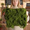 USMOLA Fake Moss Mat, Artificial Moss Table Runner for Wedding Decor Table Centerpieces Fairy Garden Crafts Indoor Green Faux Grass Wall Decor (Green: 12 x 71Inch / 30x180cm)
