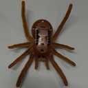 Tipmant Electric Spider Tarantula Animal Toy Vibration Crawling Pets Cat Dog Puppy Teasing Toys Prank Scary Kids Gifts
