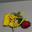 JiaDuo Girls Princess Costume Accessories Halloween Dress Up Hair Bow Glove Rose Flower Set (One Size)