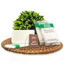 ECO amenities Bar Soap Bulk - 200 Pack, 1.0 oz Travel Size Soap Bars - Individually Wrapped For Hotels - Great for Vacation Rental and Airbnb Toiletries or Hygiene Kits Supplies