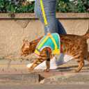 Cat Harness and Leash Set Escape Proof, Adjustable Cat Vest Harnesses Soft Kitten Harness Reflective Strips Jacket with Flower, Breathable Mesh Harnesses for Cats Puppy Easy to Wear Outdoor Walking, M
