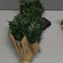 Pre-lit Artificial Mini Christmas Tree, 2ft Tipped Pine Artificial Christmas Tree, Includes 50 Led Warm Lights, Seasonal Indoor Home Decor with Decorative Burlap Base (Green)