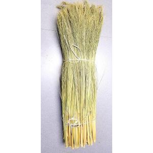 Craft Broom Corn with Stalks 2 Pound Bundle 24-36" Length