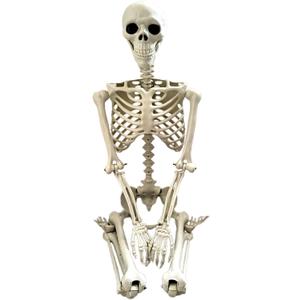 Halloween Outdoor Skeletons, Life-Size Full Body Posable Skeleton, Spooky Photo Props Garden Decor, Decorative Party Supplies for Holiday Outside