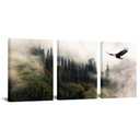 Biuteawal 3 Piece Eagle Wall Art Bald Eagle Flying in Green Mountain Forest Landscape Poster Painting Prints Cool Wild Animal Picture Artwork for Bedroom Office Living Room Home Decoration