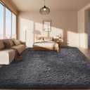 Ophanie Area Rugs for Bedroom, Upgrade Non-Slip Grey Fluffy Soft Shag Carpet, Indoor Floor Gray 4x6 Fuzzy Shaggy Living Room Plush Rug for Kids Home Dorm Decor Aesthetic