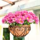 LaLaGreen Hanging Baskets for Plants (14 Inch, 4 Pack) Hanging Flower Pots with Coco Liner, Black Metal Wire Round Basket Plant Holder with Hanger Hook Chain, Outdoor Patio Deck Balcony Garden Decor