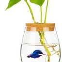 Desktop Fish Bowl Clear Glass Small Fish Tank with Wood Lid and Bamboo Stand for Betta Fish Plants Terrarium Home Office Decoration Gifts