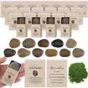 DoubleFill 20 Sets Teacher Appreciation Gift for Men Women Little Inspirational Worry Stone Reminders Stone Encouragement Container Thinking of You Comfort Gift for Friends Family Nurse Graduation
