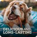 Redbarn Pet Products 12" Bully Sticks for Dogs, Case of 35 (EXP 03/18/29)