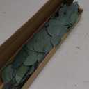 HIAGROW Real Eucalyptus Stems 20PCS Dried Preserved Fresh Eucalyptus Silver Dollar Leaves for Shower - Greenery Branches for Wedding Home Party Vase Filler Spring Decor