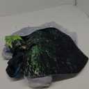 BJYHIYH Extra Large Aesthetic Tapestry Wall Hangings Nature Tapestries for Teen Girl Men Bedroom Living Room Décor(90"×70")