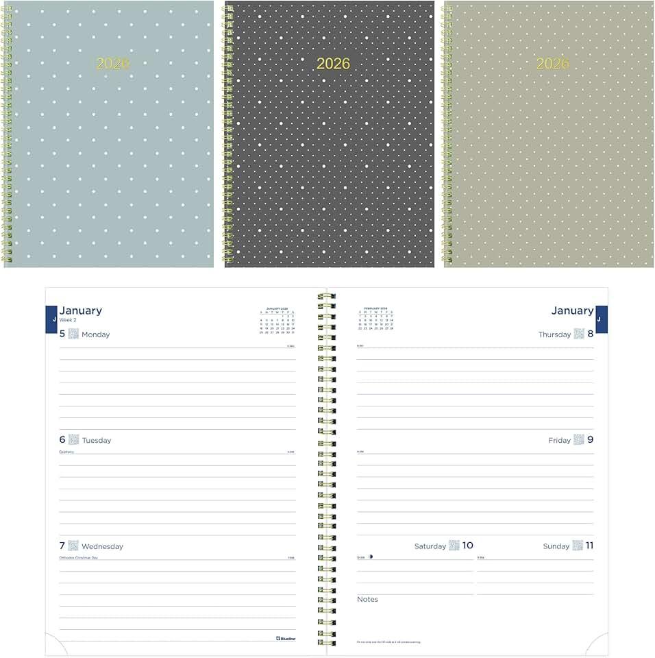 Blueline® 2026 Essential Weekly/Monthly Planner, 12 Months, January to December, Gold Twin-Wire Binding, 11" x 8.5", Minimalist (C958PT.ASX-26)