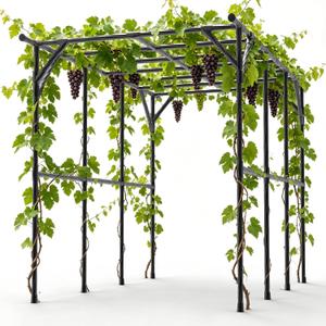 Garden Trellis For Climbing Plants, Metal Pergola Trellis, Outdoor Vine Support Structure