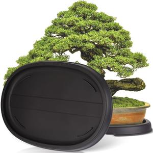 Pinkunn 2 Pack Bonsai Humidity Tray Drip Tray Plastic Plant Water Catcher Plant Saucers for Indoors and Outdoors Cactus, Succulents, Bonsai Tree, Stone Not Included(16.3 x 10.8 Inch)