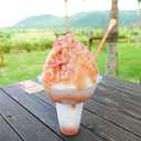 Boao 200 Pcs 8oz Colorful Flower Snow Cone Cup with Spoon Straw Flower Shaped Plastic Leakproof Shaved Ice Cream Bowl Reusable Snack Cups for Kid Birthday Hawaii Party Supplies, Easy Grip