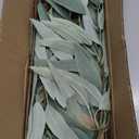 Faux Eucalyptus Stems Willow Eucalyptus Leaves 34 Long Fake Salix Leaves 3 Pcs Artificial Greenery Stems for DIY Bouquet Arrangements Centerpieces Shower Decorations-Artificial Eucalyptus Stems