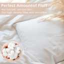 Throw Pillows Insert Set of 2, White 22x22 in Pillow Inserts with 100% Cotton Cover,Bed and Couch Decorative Stuffer Pillows,Indoor Pillows for Sofa
