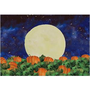 Funnytree 7x5FT Halloween Pumpkin Field Photography Backdrop for Kids Birthday Party Banner Starry Sky Night Moon Background Photo Booth