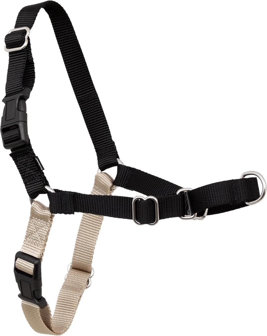 PetSafe Easy Walk Harness for Dogs - Pull-Free Walks - Patented Martingale Loop Design - Front Chest Leash Attachment - Adjustable Comfort Straps - Breathable Harness Design - Large, Black/Silver