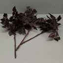 3 Pcs 21" Cimicifuga Plant Leaves Spray Fall Floral Stems Faux Plum cimicifuga Foliage Branch for Home Vase Autumn Decor Flowers Arrangement Table Wedding Garden Farmhouse