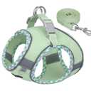 AIITLE Tiny Dog Harness - Lightweight Mesh Step-in Vest for Puppy, Reflective & Escape-Proof Design with High-Stick Magic Tape - Indoor/Outdoor Use for Chihuahua, Maltese, Shih Tzu(Sage, XXXS) (Chest: 8.5 - 10")