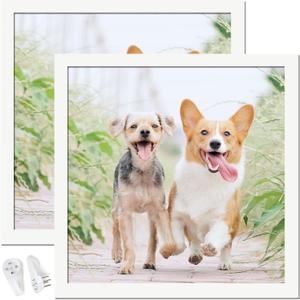 13x13 Picture Frame Set of 2, White Square Photo Frames High Transparent Wall Gallery Desktop Horizontal Vertical for Canvas Collage Photo Poster Certificate 13 x 13 inches