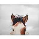 JLA Home It's In The Eyes Printed Canvas 28*22