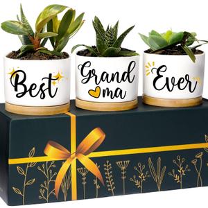 Best Grandma Ever Planters, Best Grandma Gifts from Granddaughter Grandson, Grandmother Gifts Grandma, Best Gifts for Grandma Gifts for Grandma Birthday Gifts, Gift for Grandma Gift Ideas for Grandma