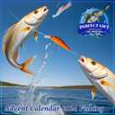 Advent Calendar Fishing Christmas Countdown, Fishing Lure Advent Calendar 2025 Adult Teen, 24 Days Fishing Lures Set, Xmas Surprise Presents for Anglers
