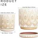 8 Inch + 6 Inch Indoor Plant Pot with Drainage Holes and Saucers, Ceramic Planter for Plants, Succulent Orchid Flower Pots