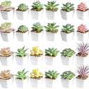 Tiita 20 Set Artificial Faux Succulents in Pots Fake Plants Plastic Arrangement Planter Small Mini Tiny Decoration for Home Office Desk Window Sill Bathroom Bedroom Outdoor Indoor