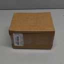 PEPPERLONELY 2PC Rugosa Arthritic Spider Conch Sea Shells, 3 Inch ~ 5 Inch